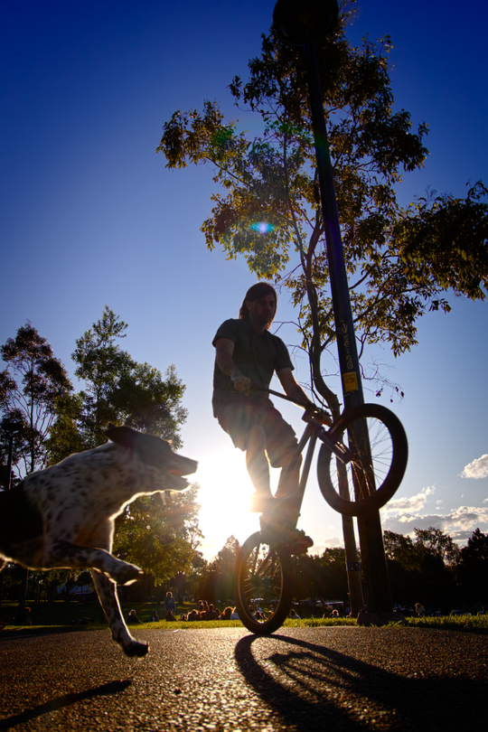 2019. Newtown. Cyclist and Dog